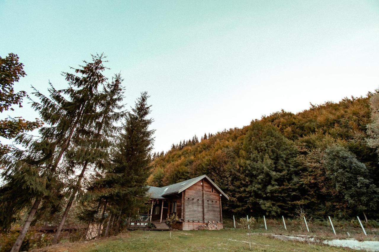 Cabana La Pantiru Valeni-Stinisoara エクステリア 写真