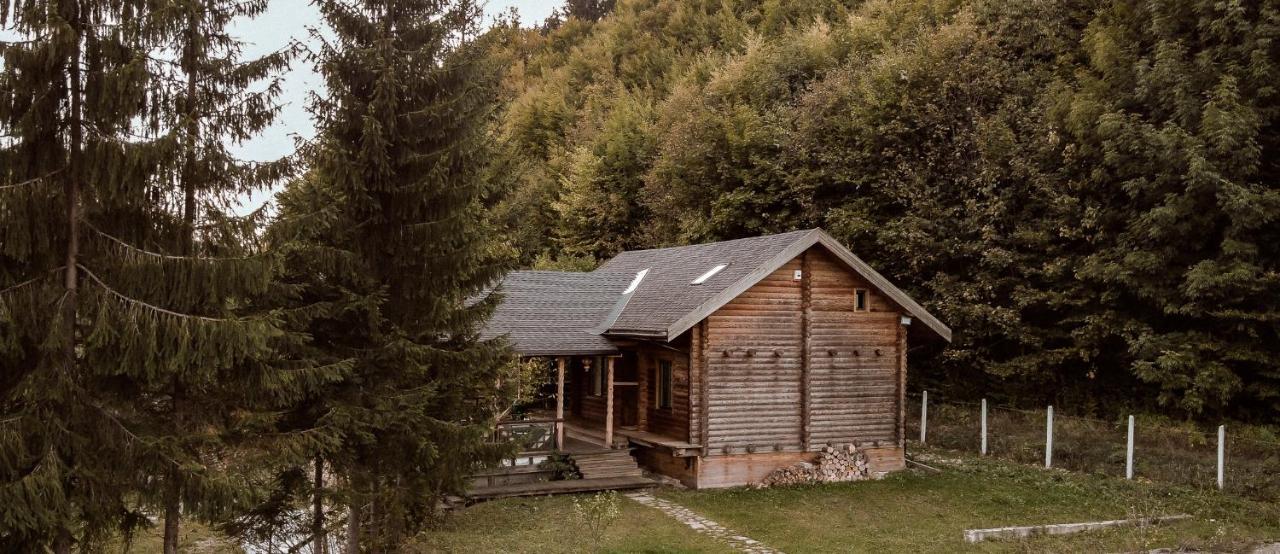Cabana La Pantiru Valeni-Stinisoara エクステリア 写真