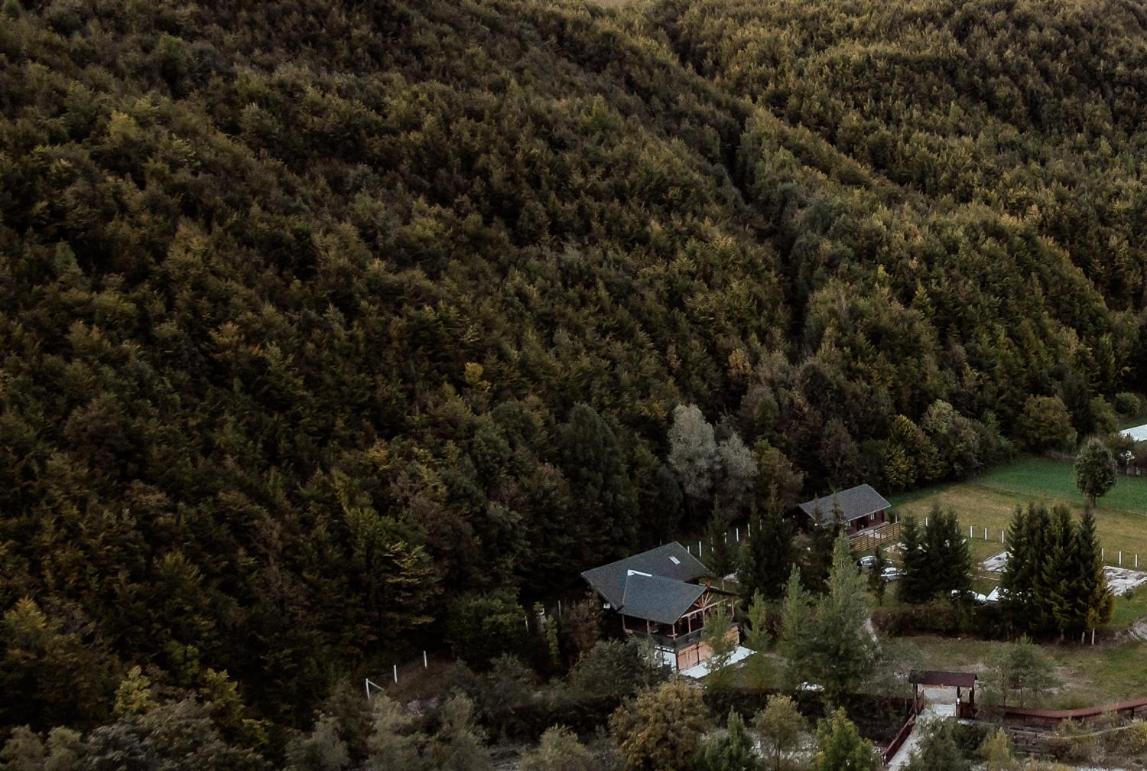 Cabana La Pantiru Valeni-Stinisoara エクステリア 写真